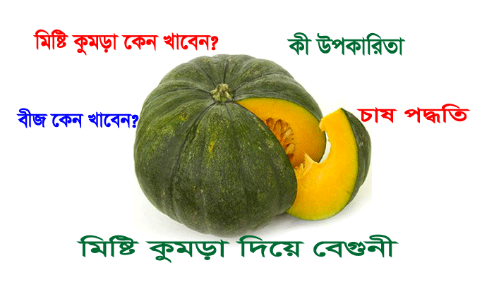 Read more about the article কেন খাবেন মিষ্টি কুমড়া-মিষ্টি কুমড়ার উপকারিতা-মিষ্টি কুমড়ার বেগুনি ও চাষ পদ্ধতি