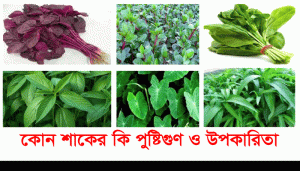 Read more about the article ৬টি শাকের উপকারিতা, লাল শাক, কলমি শাক, পালং শাক, পাট শাক, কচু শাক, পুঁইশাক