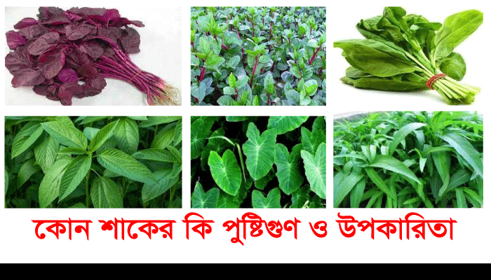 Read more about the article ৬টি শাকের উপকারিতা, লাল শাক, কলমি শাক, পালং শাক, পাট শাক, কচু শাক, পুঁইশাক