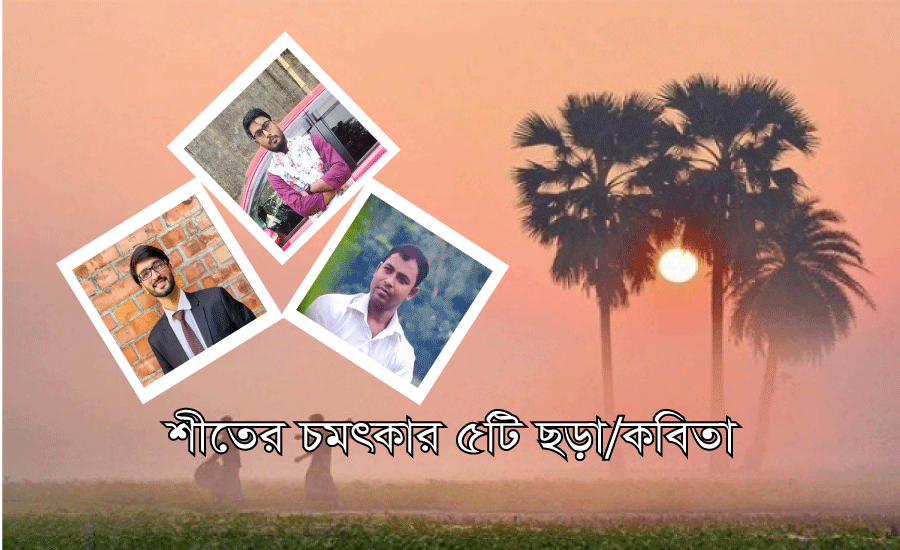 Read more about the article শীতের কবিতা। চমৎকার ৫টি শীতের ছড়া/কবিতা