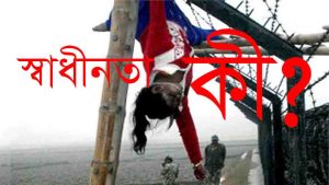 Read more about the article স্বাধীনতা কি ? স্বাধীনতা কবিতা