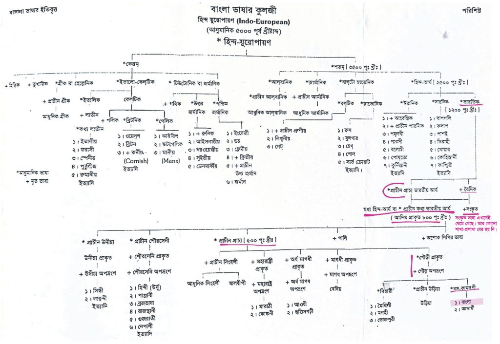 বাংলা ভাষা