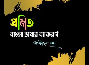 Read more about the article বাংলা ভাষার সাথে সংস্কৃত ভাষার জন্মগত যোগ নেই-নাসীমুল বারী