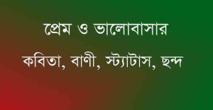 Read more about the article প্রেমের কবিতা , ভালোবাসার ছন্দ , প্রেমের ছন্দ , ভালোবাসার স্ট্যাটাস