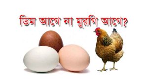 Read more about the article ডিম আগে না মুরগি আগে ? জেনে নিন সমাধান