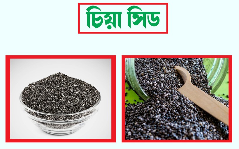 Read more about the article চিয়া সিড খাওয়ার নিয়ম, পুষ্টিগুণ ও উপকারিতা (Chia seed)