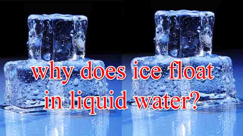 You are currently viewing why does ice float in liquid water?