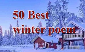 Read more about the article 50 Best winter poem