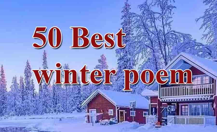 Read more about the article 50 Best winter poem